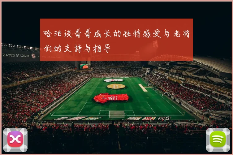 哈珀谈哥哥成长的独特感受与老将们的支持与指导