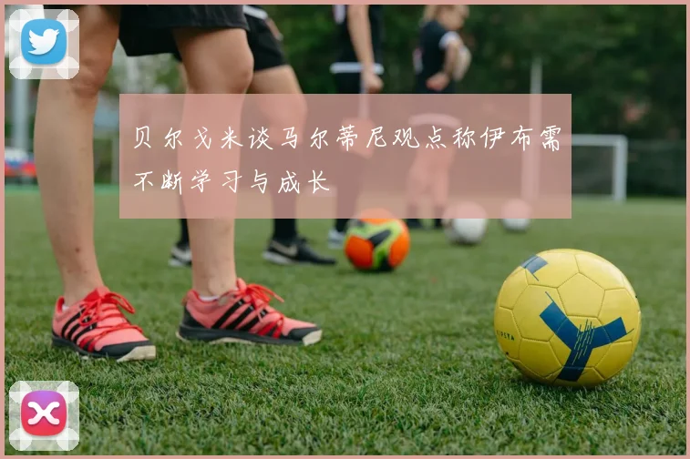 贝尔戈米谈马尔蒂尼观点称伊布需不断学习与成长