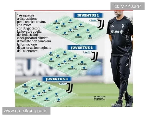 意媒报道布雷默与米雷蒂国际比赛日后复出图多尔阵容将趋于完整