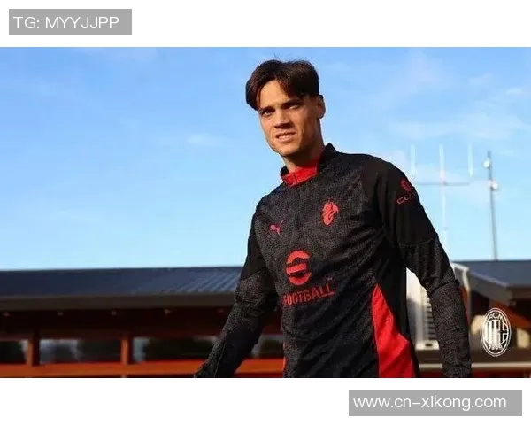 多名球员因非法赌博遭调查里奇佩林等申请罚款和解 多名球员因非法赌博遭调查里奇佩林等申请罚款和解